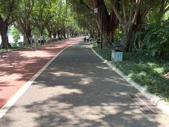 -南宁南湖公园