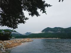 -大澳