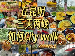 -翠湖公园
