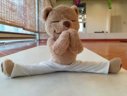 -一花一叶瑜伽生活馆