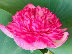 -上海植物园-4号门售票处