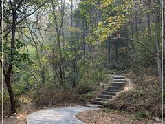-青龙山国家森林公园