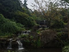 -大围山国家森林公园