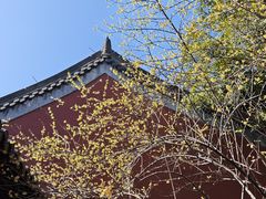 -钱王祠
