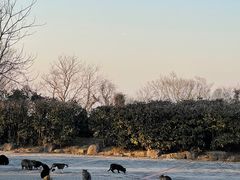 -南京市江宁方山