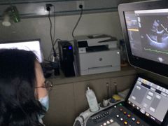 -美联众合动物医院·24h转诊中心