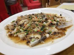 -寻味顺德·南记酒家·传统顺德菜·鱼生(广源路店)