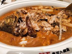 -阿五黄河大鲤鱼(海尚店)