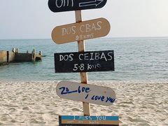 -玫瑰海岸文化旅游度假区