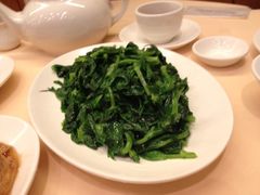 清炒豆苗-镛记酒家