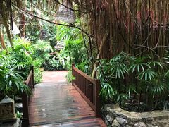 景观位-卷心菜和避孕套餐厅(Pattaya)