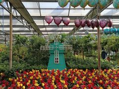 -南宫五洲植物乐园