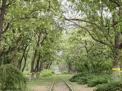 -永定河休闲森林公园