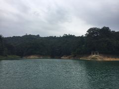 -广州市流溪河国家森林公园