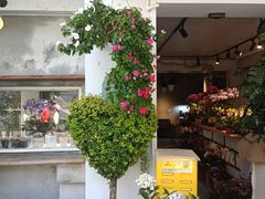 -溪岸路花鸟市场
