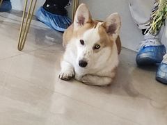 -平行世界·猫咖(首经贸店)
