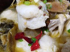 -周鱼小馆石锅酸菜鱼(活力汇店)
