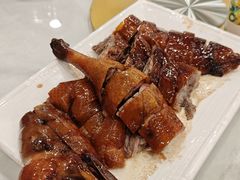 -姚林轩