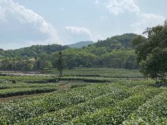 -东钱湖旅游度假区