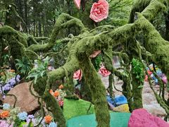 -洛阳白云山景区