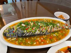 飞虹鱼-飞虹鱼馆(春华路店)