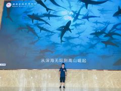 -湖南省地质博物馆