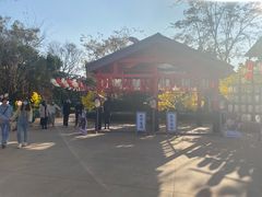 -七彩云南欢乐世界