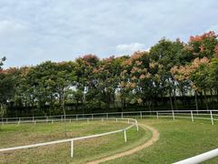 -宿豫区运河湾森林动物园