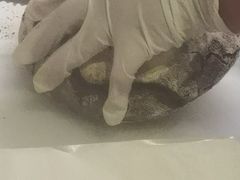 -花马天堂云南餐厅 Lost Heaven(外滩店)