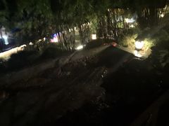 -崇阳三特浪口温泉