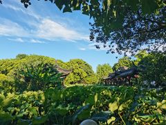 -丝绸小镇荻港古村