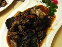 熬炒乌鸡-丰乐园大酒店