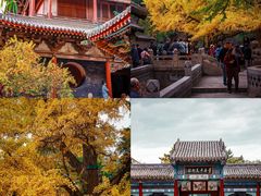 -晋祠公园
