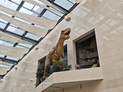 -安徽省地质博物馆