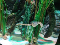 -沈阳海洋探索中心