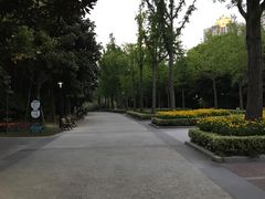 -苏州河梦清园环保主题公园