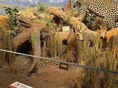 -陕西自然博物馆