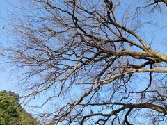 -广州市干部健康管理中心