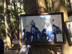 -天姥山