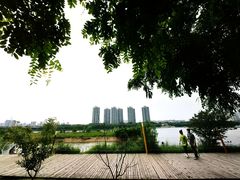 -长白岛森林公园