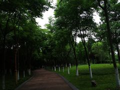 -眉山湿地公园(东坡区)
