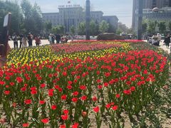 -长春公园(普阳街道)