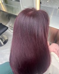 -豪斯塔美发连锁