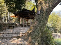 -杨家堂村
