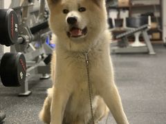 -YCHL Studios健身工作室(市二宫店)