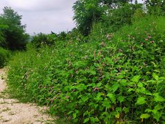 -沈阳辉山风景区