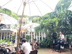 -Fern Forest Cafe