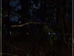-上海外国语大学(虹口校区)