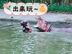 -长鹿旅游休博园
