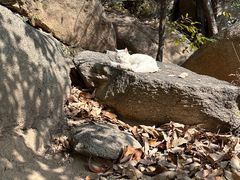 -天津盘山风景名胜区